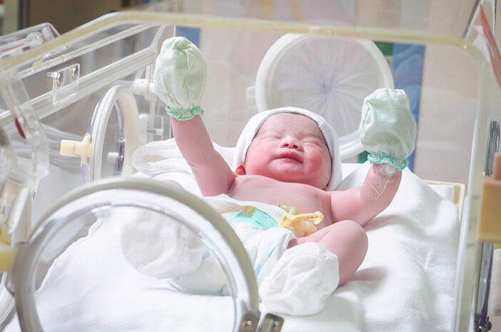 Pasutri Berbondong-bondong Ikut Program Bayi Tabung Demi Dapat 'Baby Dragon', Ada Apa? Foto : Ist
