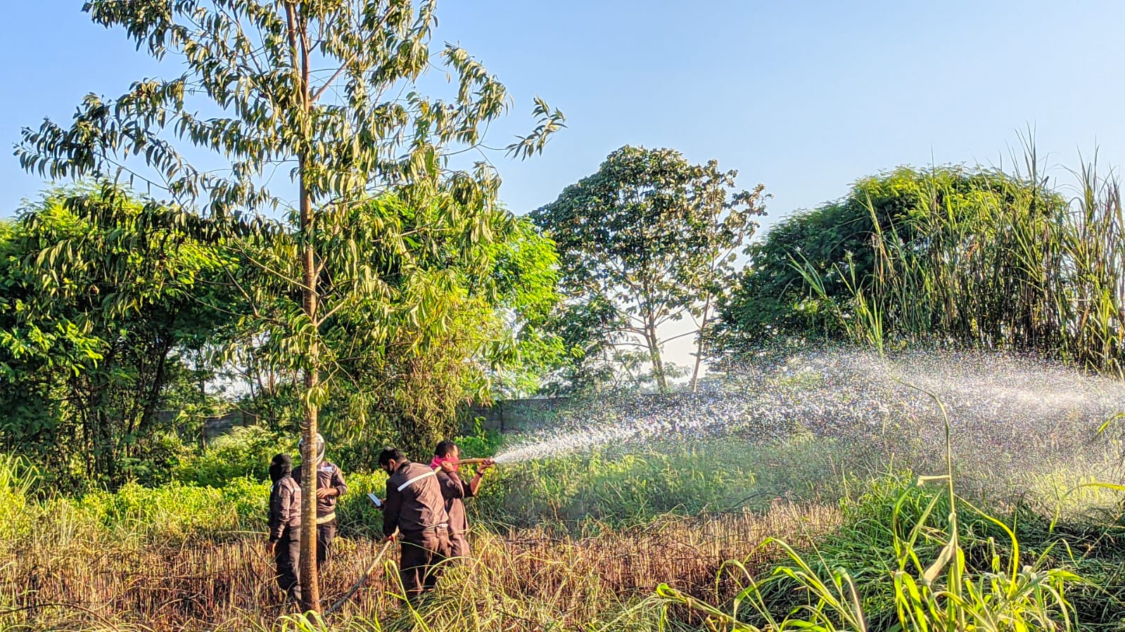 Diduga Dari Puntung Rokok, Lahan 3 Hektar Hangus Terbakar Petuga pemadam kebakaran tengah memadamkan api yang membakar lahan di Serpong, Rabu, (20/12).(Dra)