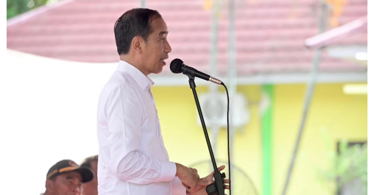 Harga Cabe Gila-gilaan, Presiden Turun Tangan Foto : Ist