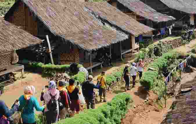 Warga Baduy Terancam Ular Tanah, Racunnya Sangat Berbahaya Foto : Ist