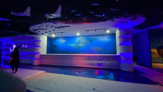 Akuarium Oceanarium BXSea Bintaro, yang berada di mal Bintaro Jaya Xchange. Tempat ini resmi dibuka hari ini (Jumat 15/12). Foto : Ist