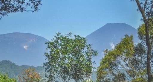 Mendaki Lewat Jalur Ilegal, 13 Pendaki Tersesat di Gunung Pangrango Foto : Ist