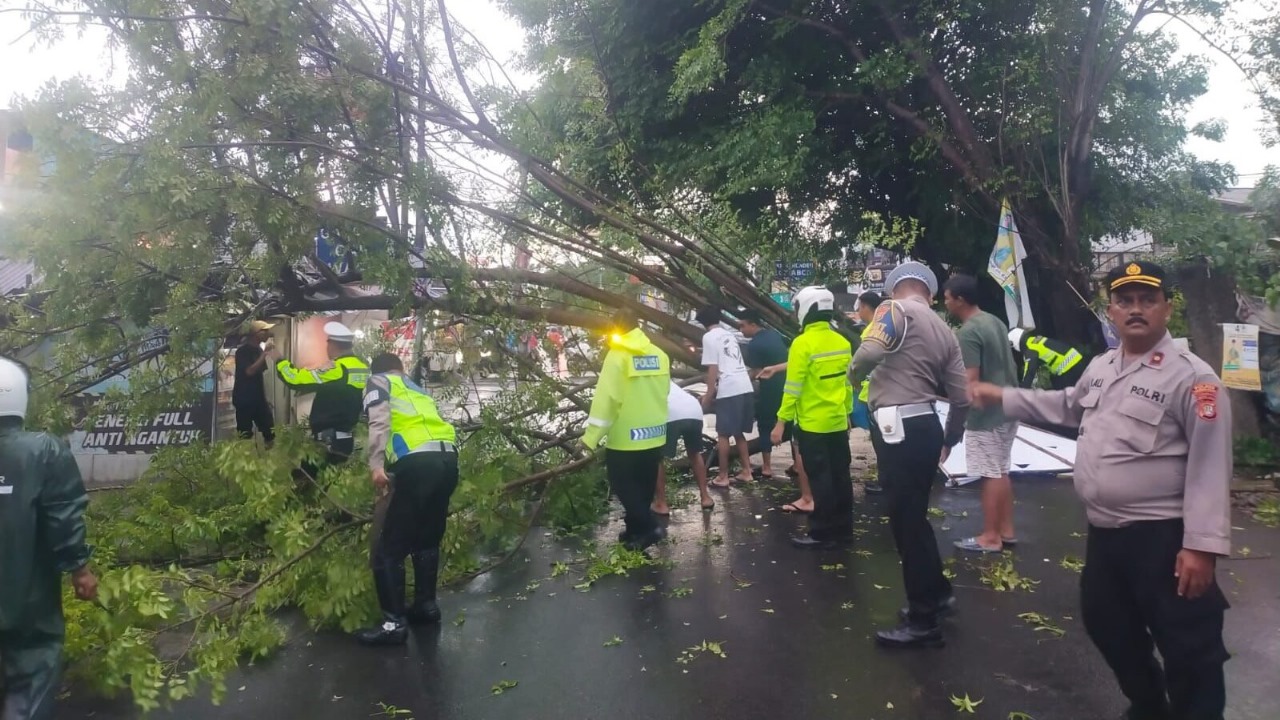Pengendara Wanita Luka-luka Tertimpa Pohon Tumbang Seorang wanitia harus mendapatkan penanganan medis serius usai mendapatka luka tertimpa pohon tumbang di Jalan Aria Putra, Serua indah, Kota Tangsel.(dra)