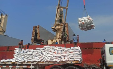 Bapanas Jangan Andalkan Impor Terus, Meski Murah Foto : Ist