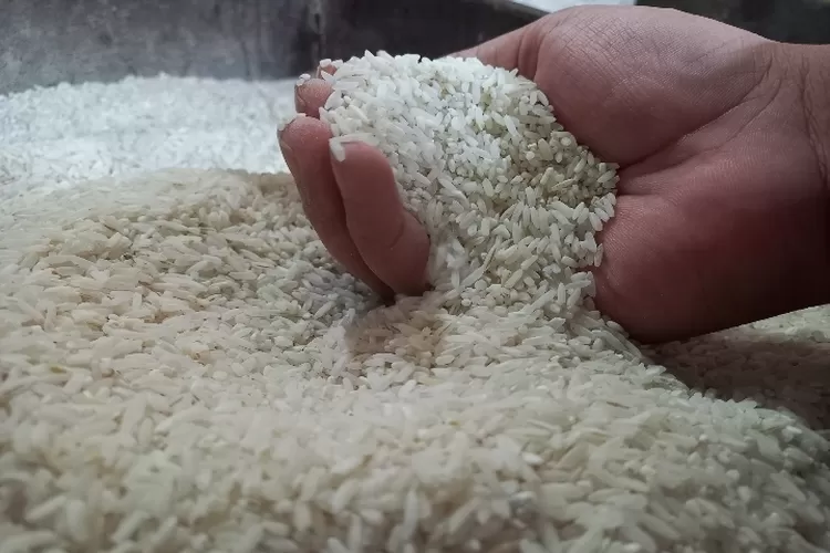 Pedagang Sebut Wajar Harga Beras Naik Ilustrasi