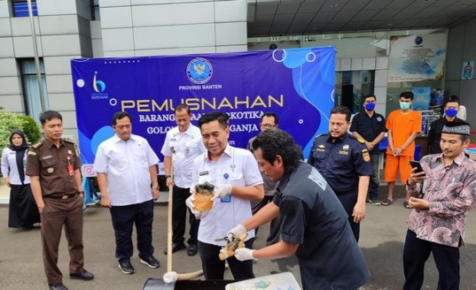 BNN Banten Ungkap Pengiriman Ganja Medan-Tangerang, Begini Modusnya Foto ; Ist
