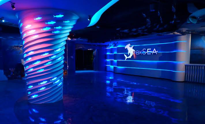 BXSea Bintaro Tambah Jenis Biota Laut BXSea Oceanarium Bintaro akan melakukan grand opening pada hari Rabu, 27 Maret 2024.(Dra)