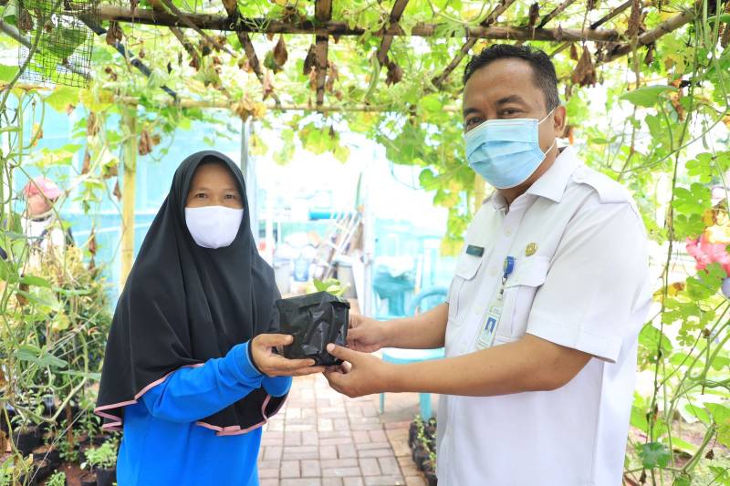 Jaga Ketahanan Pangan, DKP Tangerang Bagikan 3.070 Bibit Tanaman Sayur Gratis Foto : Ist