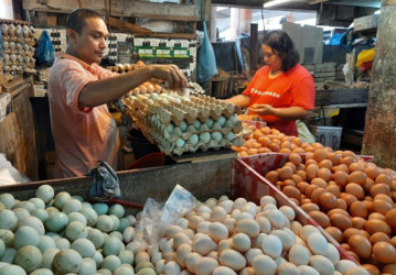 Kapan Ya, Harga Beras Dan Telor Bisa Turun Foto : Ist