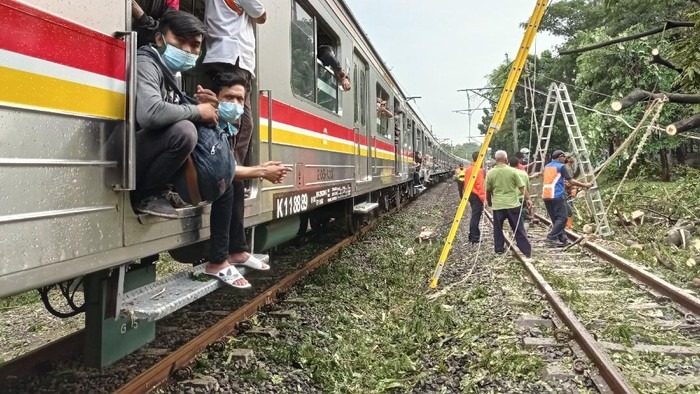 Pohon Tumbang, Perjalanan Commuter Line Stasiun Pondok Ranji-Kebayoran Terhenti Sementara Foto : Ist