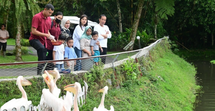 Libur Lebaran, Jokowi Temani Cucu Wisata Satwa Di Deli Serdang Foto : Ist