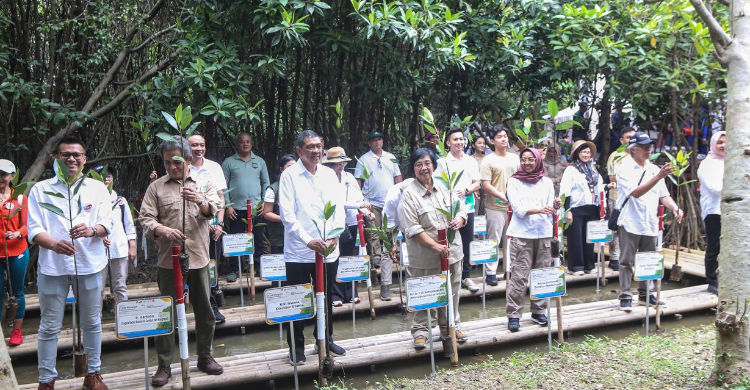 Rayakan Ultah Ke-25, Rakyat Merdeka-KLHK Tanam 25 Ribu Mangrove Di 25 Titik Foto : RM