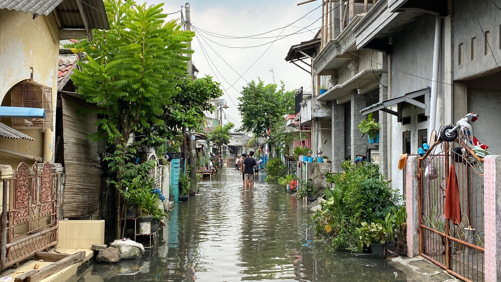 Banjir Kembali Merendam Perumahan Taman Cikande, Begini Solusi Pemerintah Foto : Ist