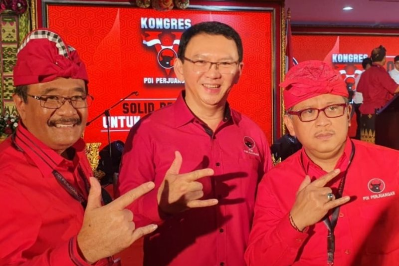 Pilgub Sumut Sekeras DKI, Ahok Bakal Lawan Menantu Jokowi Foto : Ist