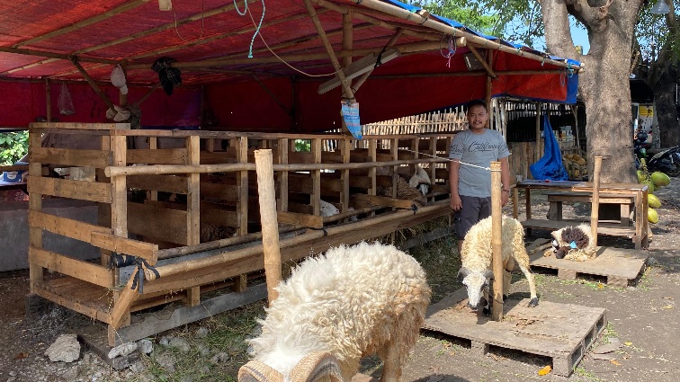 Angka Penjualan Hewan Kurban di Tigaraksa Menurun, Ternyata Ini Sebabnya Foto ,: Ist
