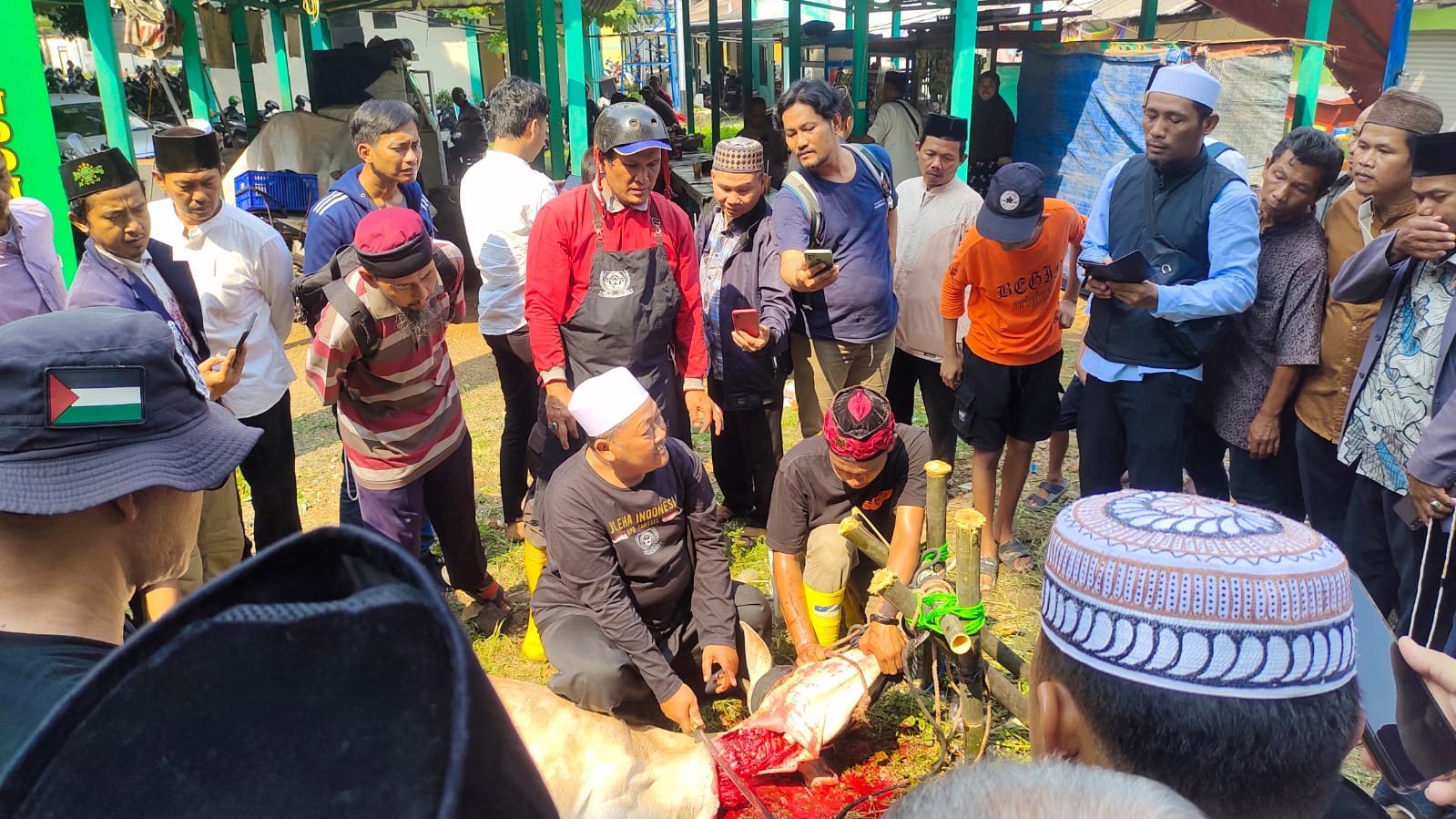 Jelang Idul Adha, MUI Latih Cara Sembelih Hewan Kurban Secara Syariat Peserta antusias mengikuti pelatihan penyembelihan hewan kurban yang digelar MUI Tangsel.(dra)
