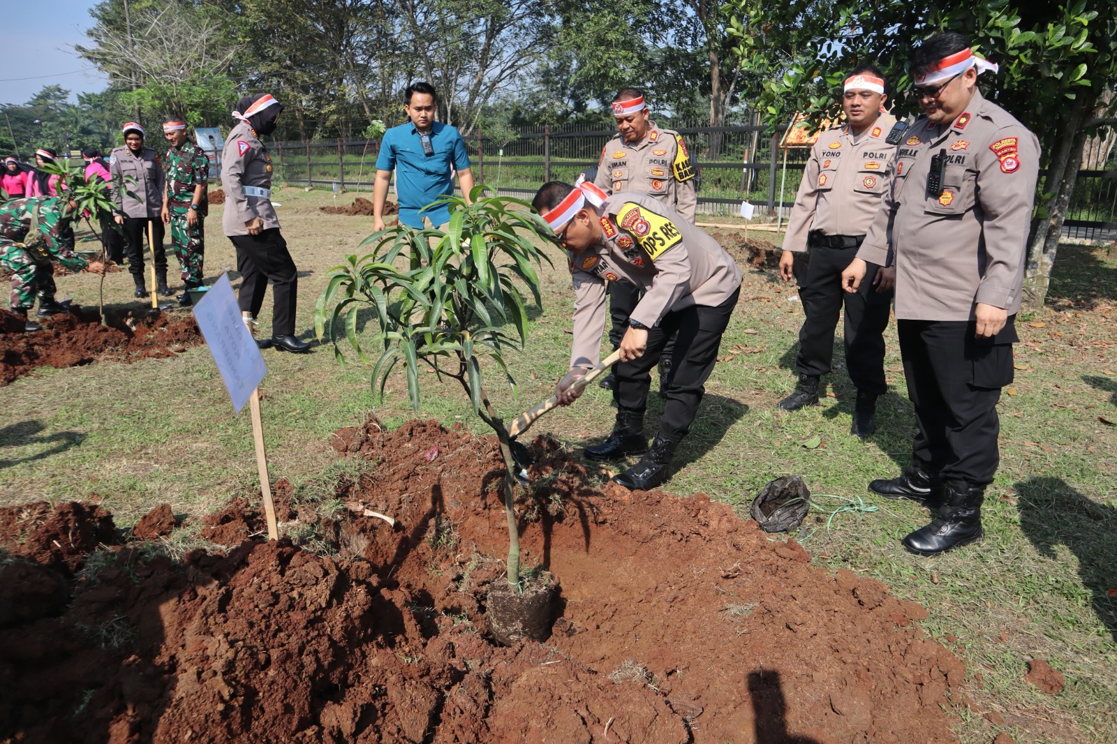 Lakukan Penghijauan, Polresta Tangerang Tanam Ratusan Pohon di Tapos Foto : Mg.Fikri