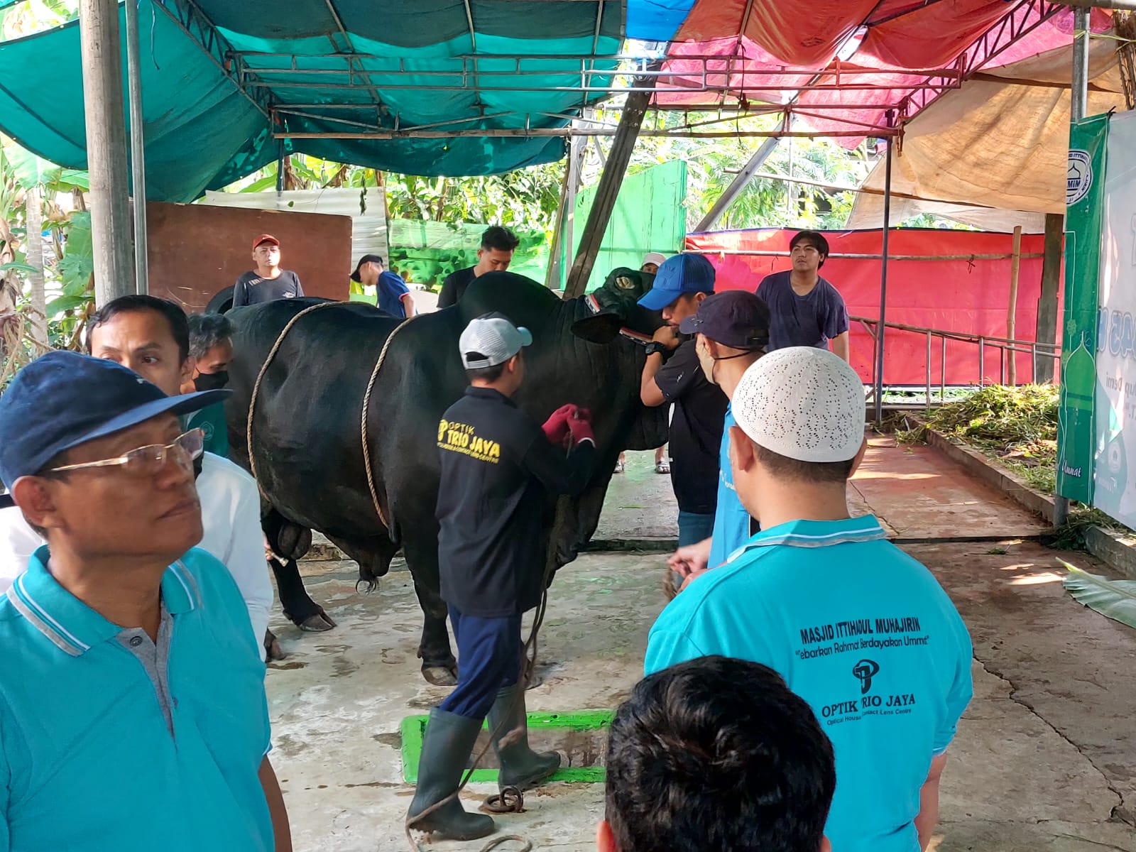 Masjid Ittihadul Muhajirin Reni Jaya Pamulang Sembelih Sapi Brangus Seberat 1,25 Ton Masjid Ittihadul Muhajirin yang berlokasi di Perumahan Reni Jaya Pamulang, Tangerang Selatan (Tangsel) memulai pemotongan puluhan hewan kurban, Senin (17/6/2024). (tangselpos.id/rmn)
