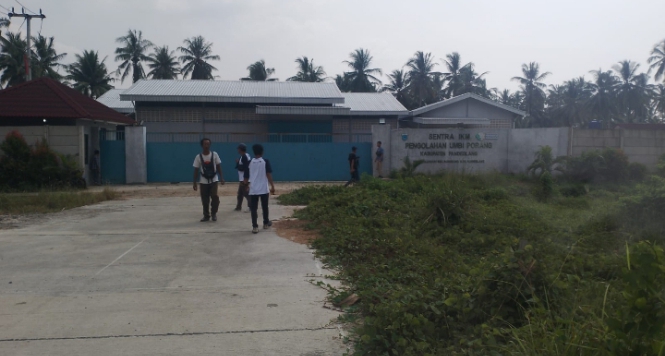 Pabrik Porang di Panimbang Terbengkalai Pabrik pengolahan porang di Kecamatan Panimbang, Kabupaten Pandeglang.(ISTIMEWA)