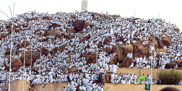 Puncak Haji Berjalan Lancar, "Pray For Gaza" Bergema Di Arafah Foto : Ujang Sunda