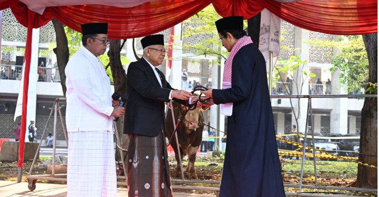 Wapres: Kurban, Tingkatkan Solidaritas Sosial Foto : Ist