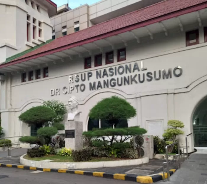 60 Anak Cuci Darah Di RSCM Foto : Ist