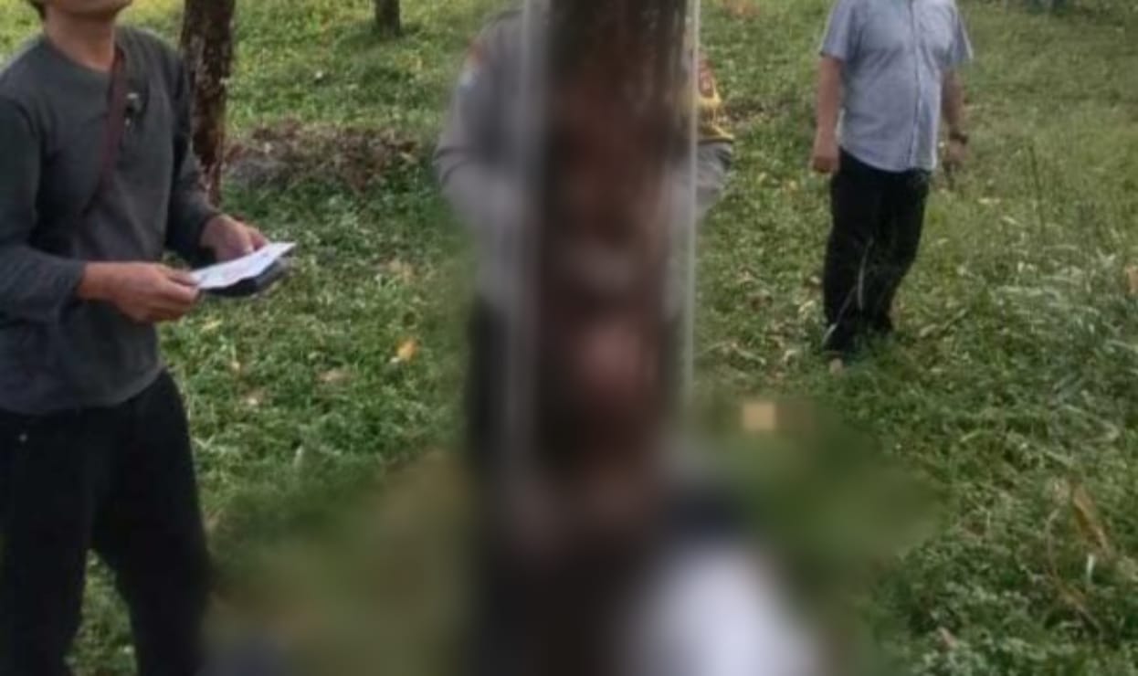 Geger! Warga Bogor Temukan Mayat Pemuda Tergantung di Pohon Foto : Ist