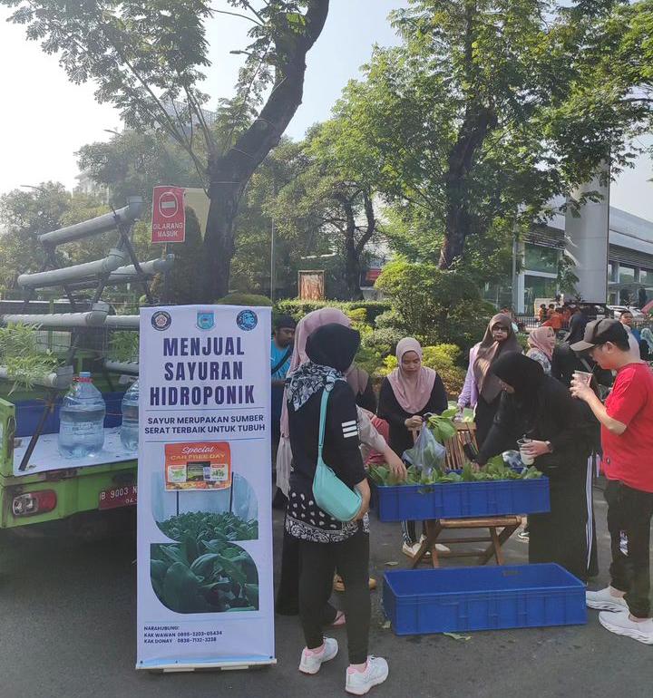 Karang Taruna Lengkong Gudang Panen Pakcoy & Dijual Di CFD Karang Taruna Lengkong Gudanv lakukan kegiatan agri bisnis tanam sayuran pokcoy.(dra)