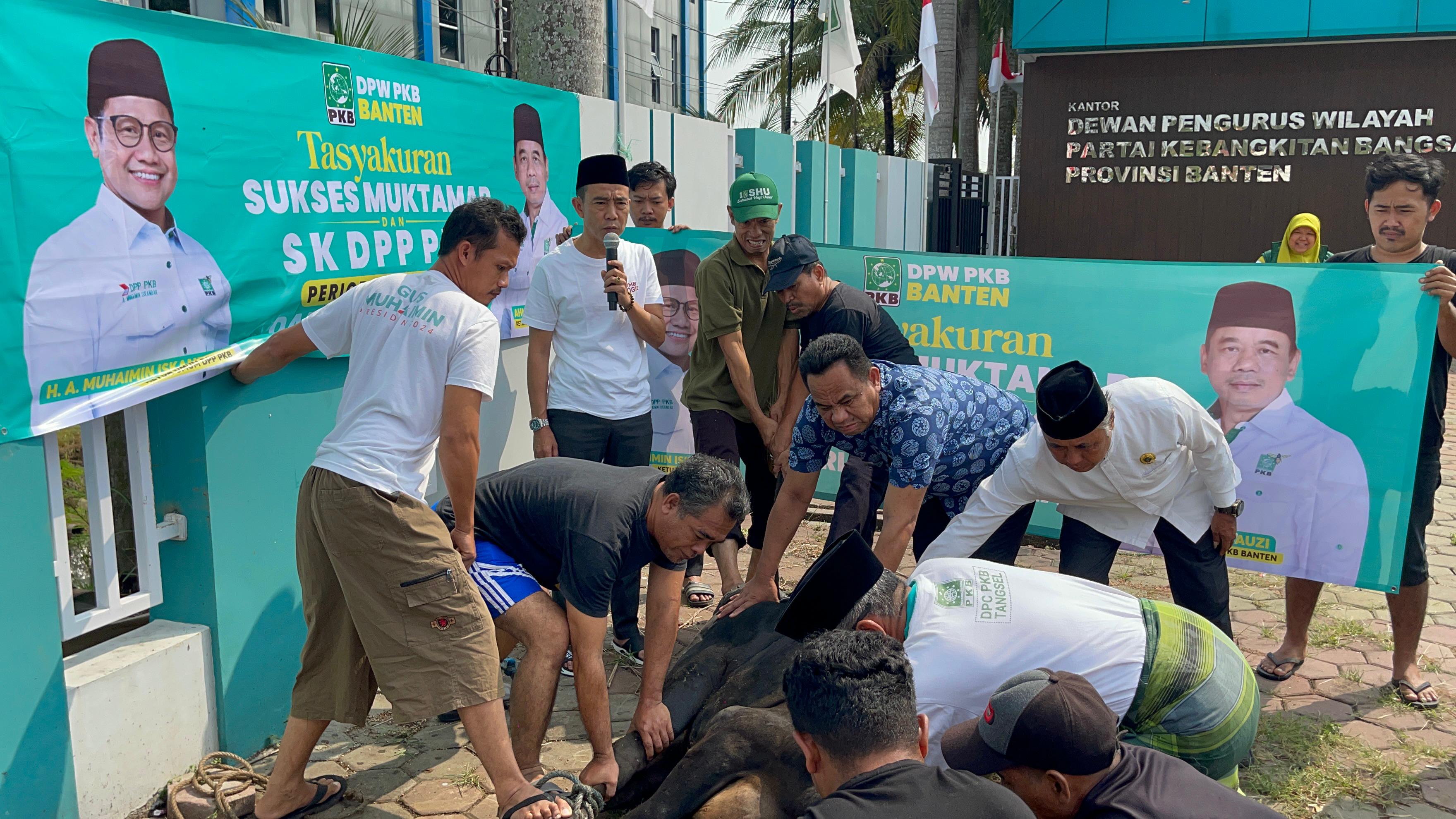 Muktamar PKB Bali Mendapat SK kemenkumham, DPW PKB Banten Syukuran Potong Sapi Foto : Ist