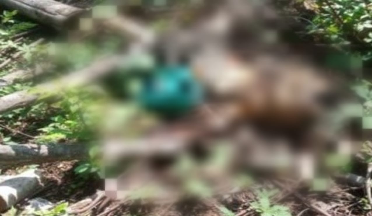 Warga Digegerkan dengan Penemuan Kerangka Manusia di Area Pegunungan Bogor Foto : Ist