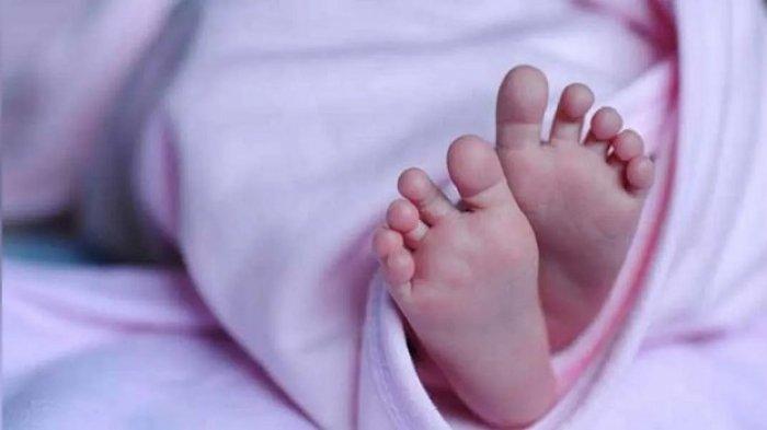 Bayi Dibuang Di Serpong Ilustrasi
