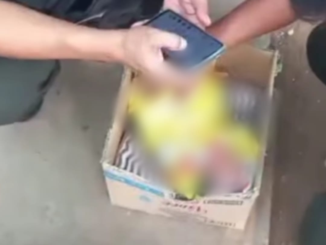 Orang Tua Tega Telantarkan Bayi 1 Bulan dalam Kardus di PIK, Diburu Polisi Foto : Ist