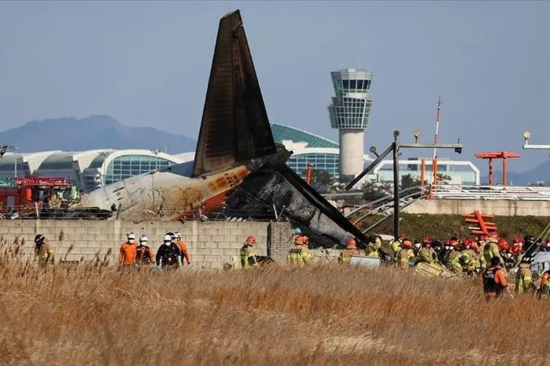 Diduga Karena Nabrak Burung, Jeju Air Mengalami Kecelakaan Foto : Ist