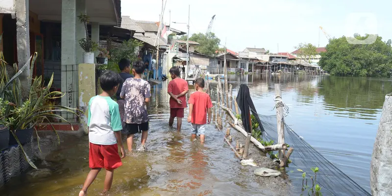 Pembangunan Tanggul Laut Segera Dikebut, Bisa Jadi Solusi Atasi Banjir Rob Banjir rob di daerah Marunda, Jajarta Utara. Foto : Ist