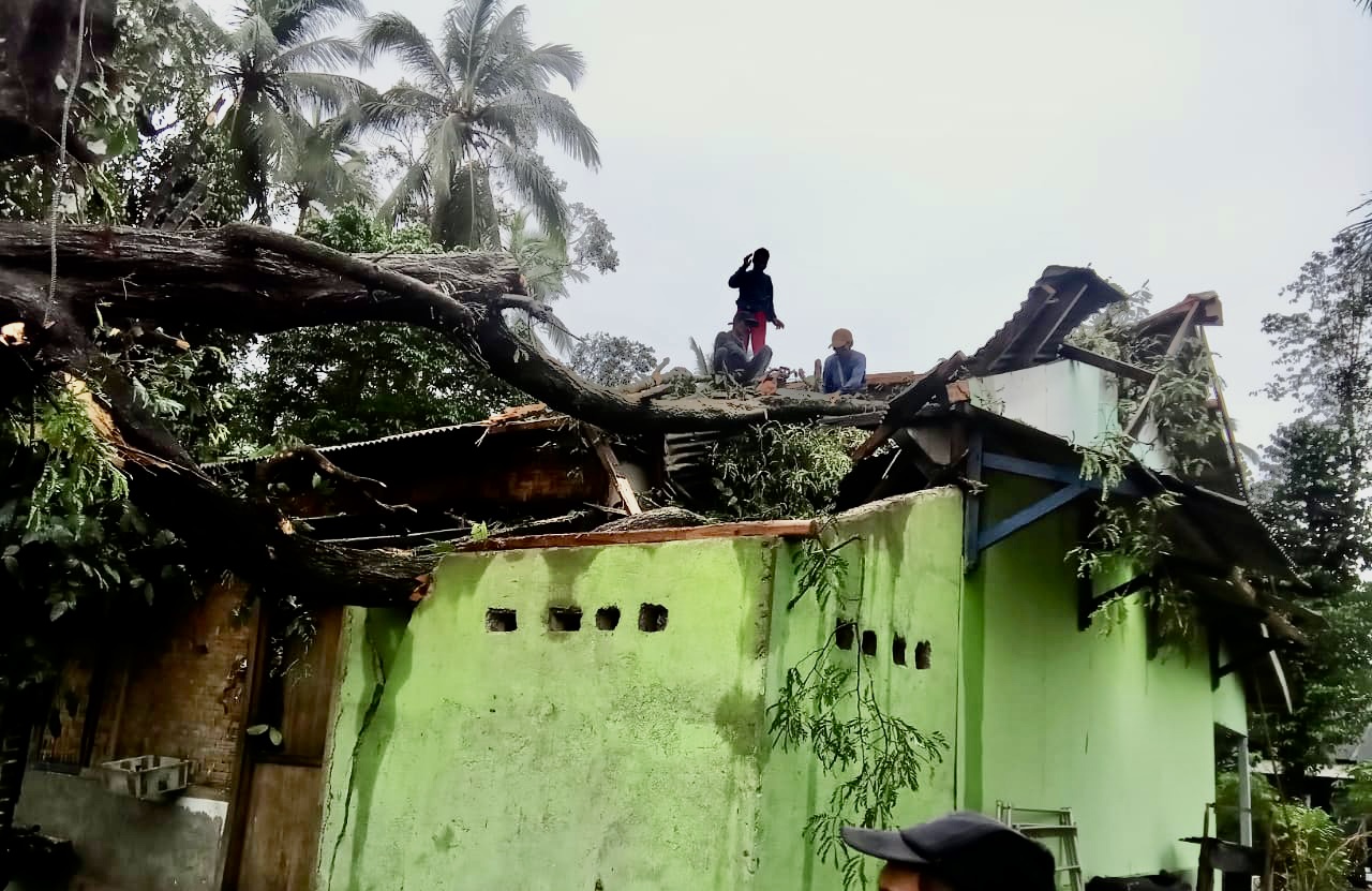 9 Rumah Porak-Poranda Disapu Angin Puting Beliung Warga bersama para pihak terkait lainnya sedang mengevakuasi pohon tumbang yang menimpa atap rumah yang diakibatkan bencana angin puting beliung, Selasa (21/1).(pal)
