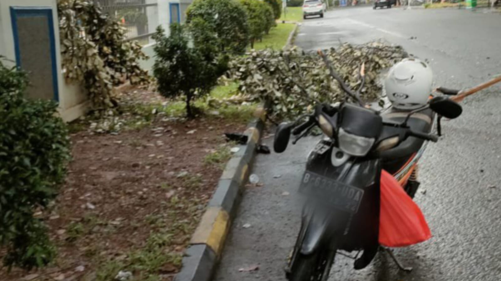 Motor Pengunjung Kantor Pajak Serpong Ringsek Tertimpa Pohon Motor Pengunjung Kantor Pajak Serpong Ringsek Tertimpa Pohon. (tangselpos.id/rmn)