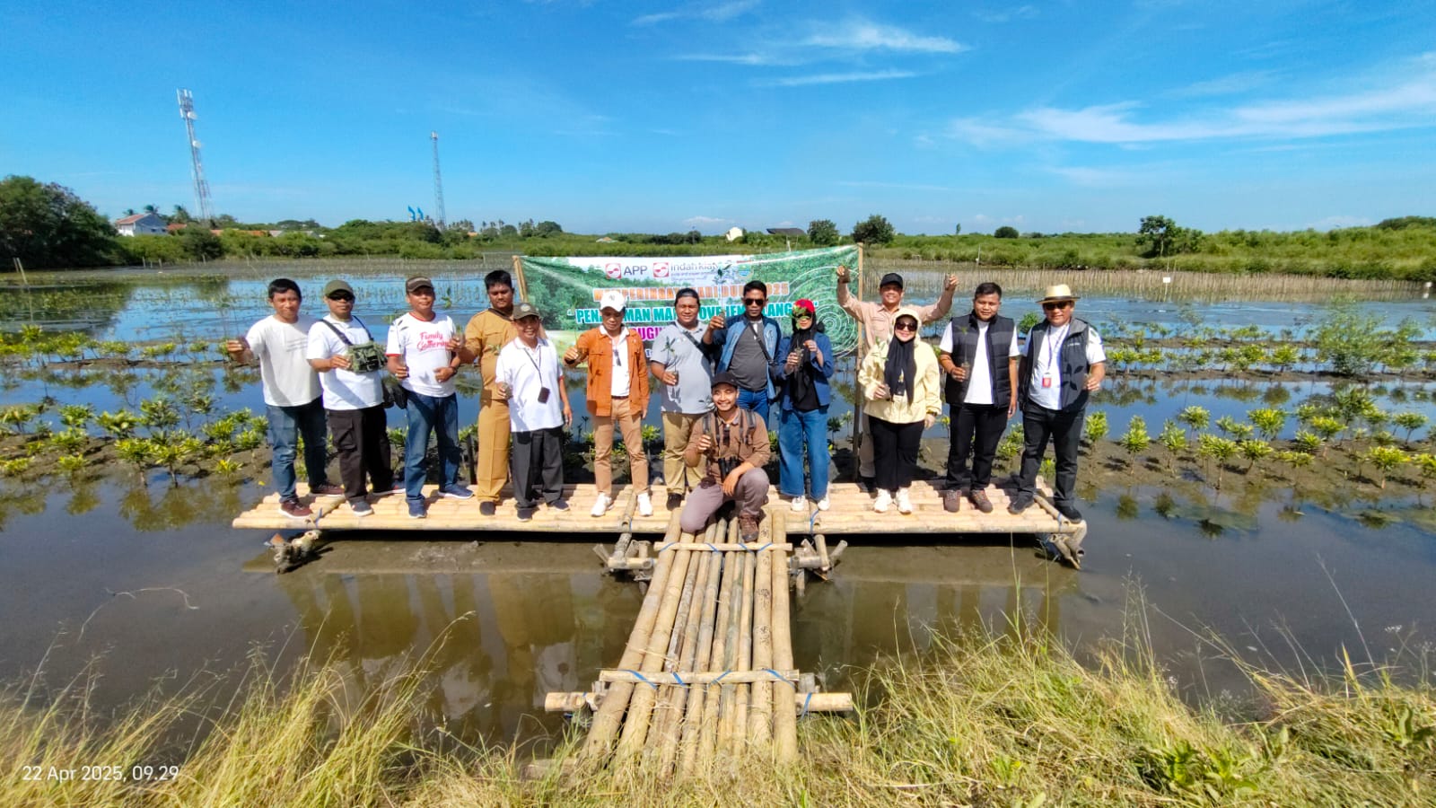 10 Ribu Mangrove Langka Ditanam Di Hari Bumi IKPP Tangerang bersama dengan Pemkab Tangerang melakuka. Kegiatan tanam mangrove di Mauk, Kabupaten Tangerang.