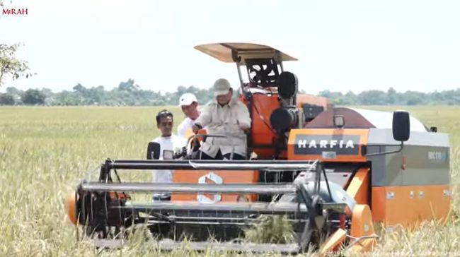 Produksi Beras Melimpah, Prabowo Turun Ke Sawah Di Majalengka Presiden saat panen raya di Majalengka, Jawa Barat. Foto : Ist