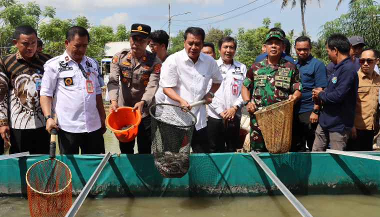 Bupati Tangerang, Moch Maesyal Rasyid turut menyaksikan panen simbolis ikan lele dari kolam budidaya milik warga di Desa Gandaria, Kecamatan Mekarbaru, Sabtu (17/5).
