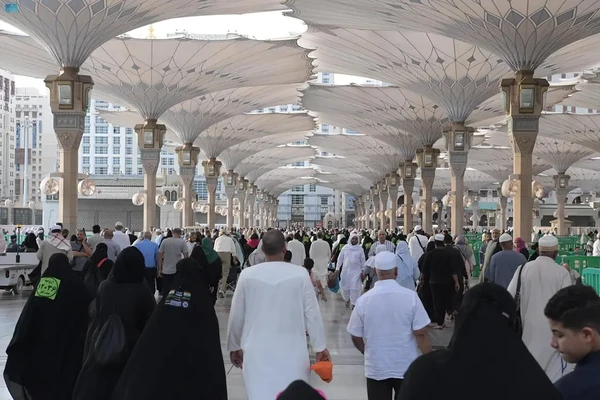 Ilustrasi jamaah Haji di Masjid Nabawi, Madinah. Foto : Ist