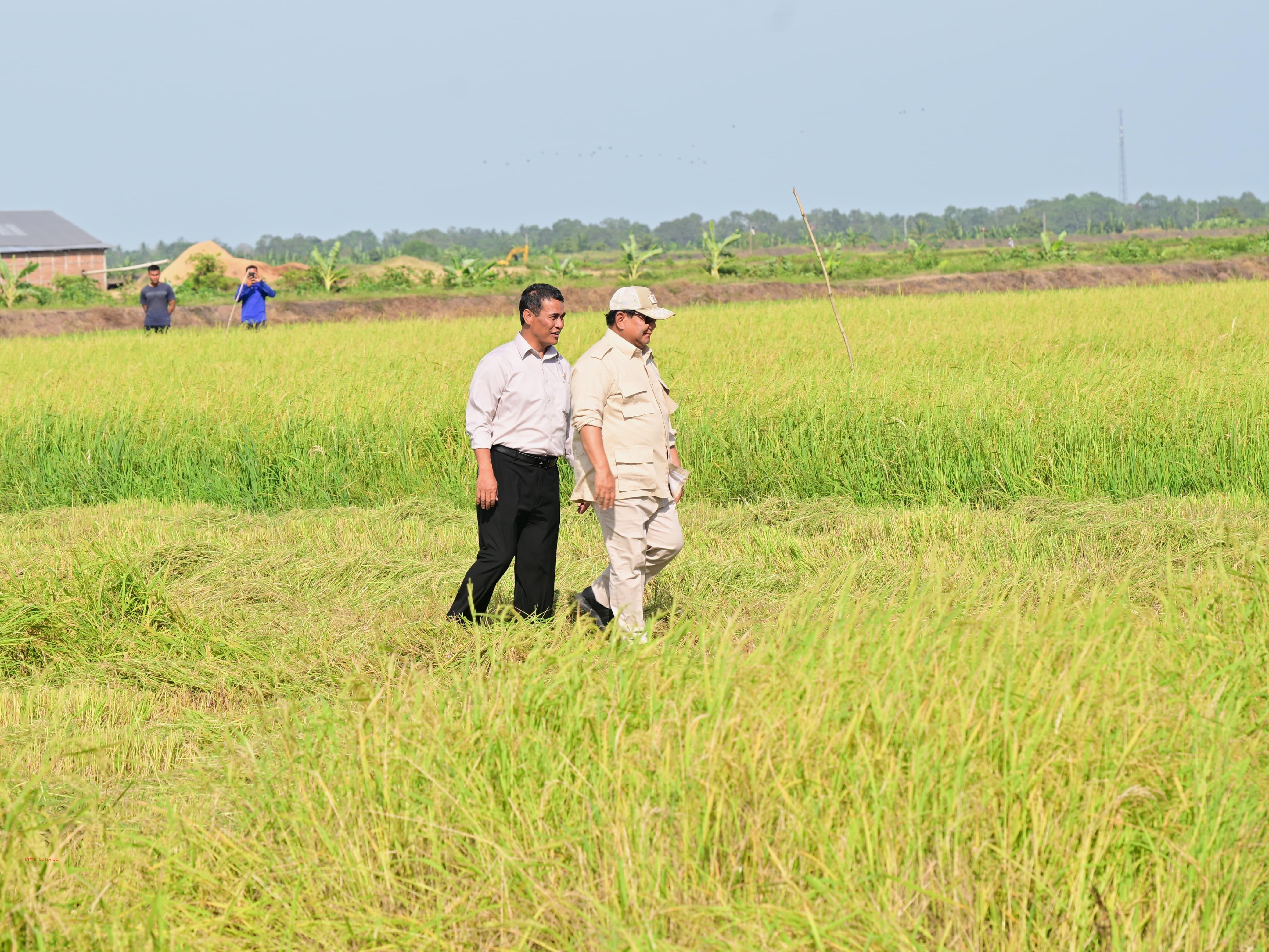 Produksi Beras Melimpah, Malaysia Minta Indonesia Kirim Beras Ke Negaranya Presiden Prabowo saat kunker di Marauke. Foto : Ist