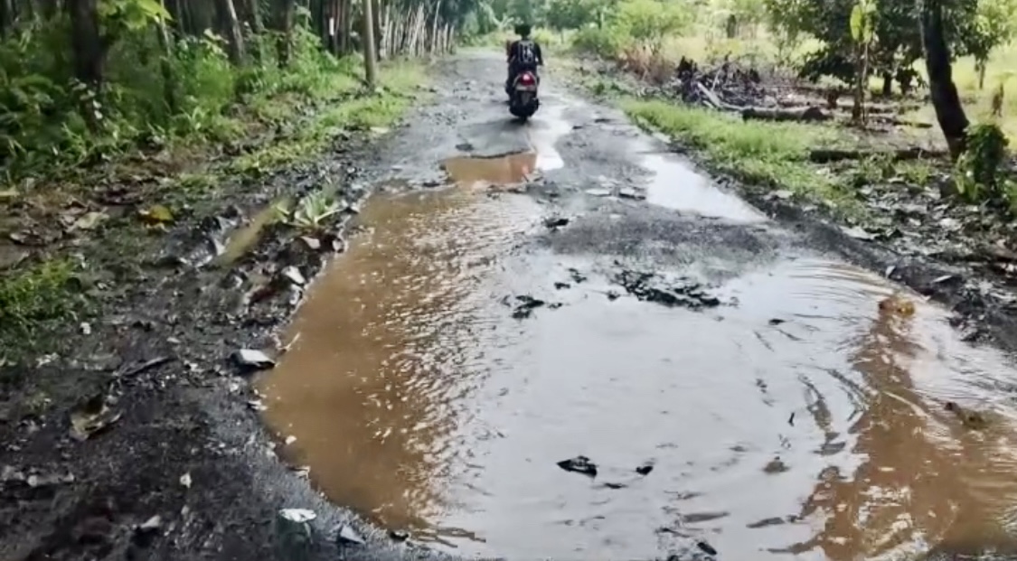 Siswi SMA 17 Pandeglang Speak Up Soal Jalan Rusak Kondisi jalan rusak di wilayah Desa Ciseureuheun-Desa Karya Buana, Kecamatan Cigeulis, Kabupaten Pandeglang, rusak parah.