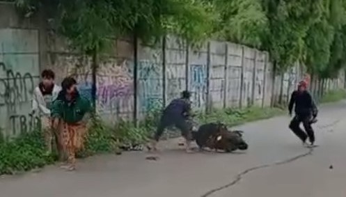 Tawuran Antarkelompok Remaja Pecah di Depok, Berhasil Dibubarkan Warga Foto : Ist
