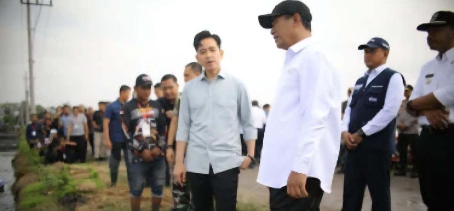 Wapres Gibran Blusukan Ke Ngawi, Turun Ke Sawah Serta Tanam Padi Bareng Petani Foto : Ist