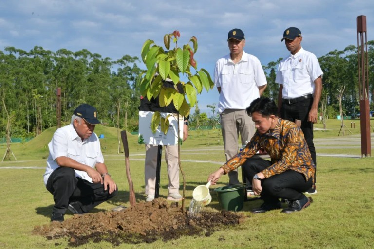 Wapres Gibran Tanam Pohon Ulin Di IKN Wapres Gibran bersama Ketua Otorita IKN Basuki Hadimuldjono saat menanam pohon Ulin di IKN. Foto : Istn
