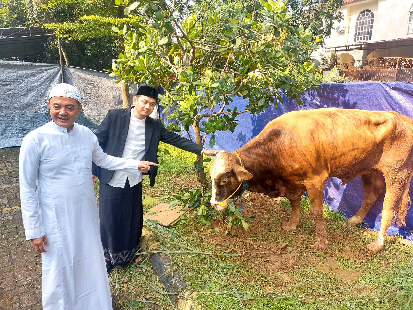 Sekolah Islam Al-Azhar BSD mengkurbankan sebanyak 167 ekor kambing dan 15 sapi, Jumat (6/6). (tangselpos.id/rmn)