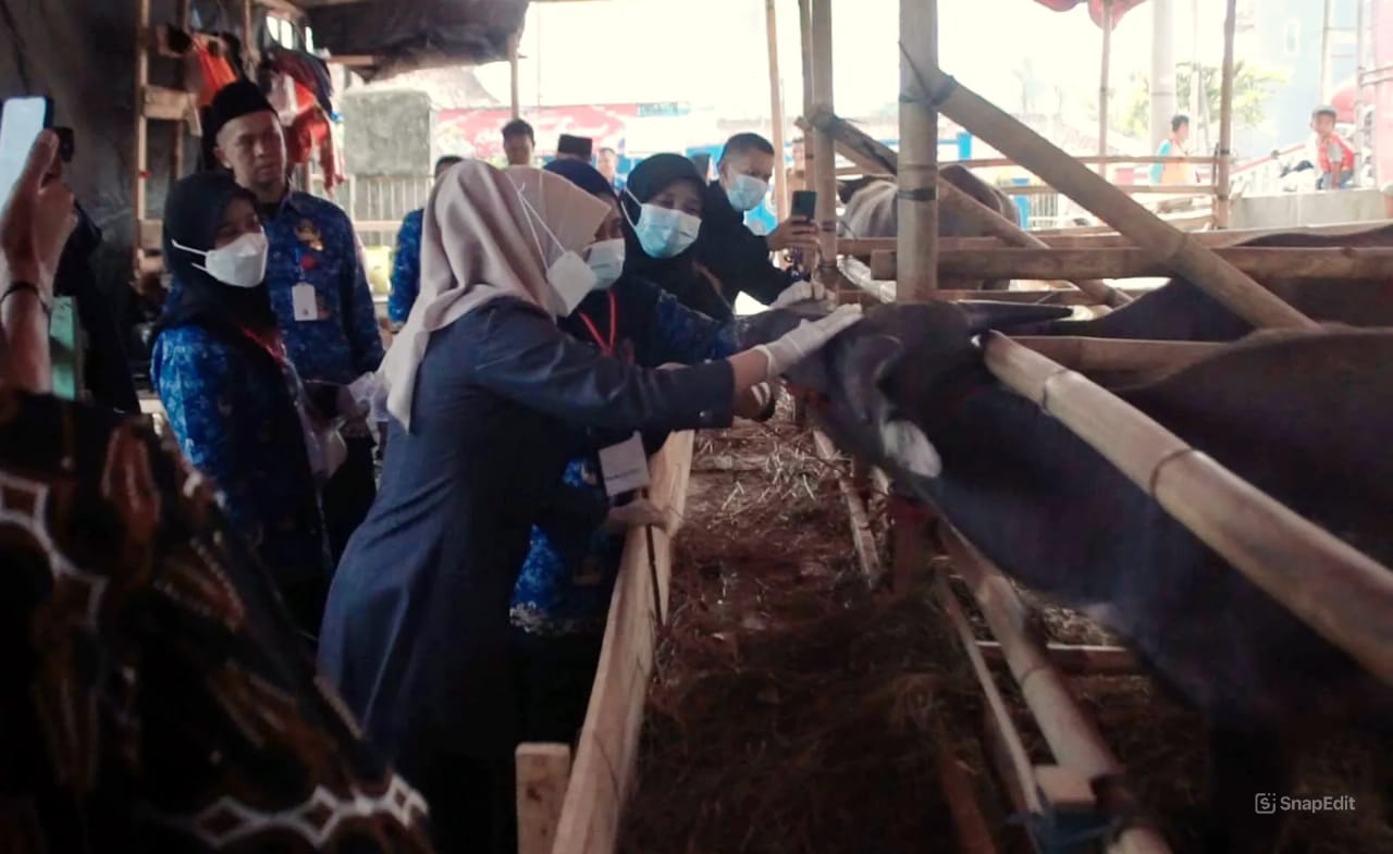 Pastikan Layak dan Sehat, Bupati Pandeglang Cek Lapak Penjualan Hewan Kurban Bupati Pandeglang, R. Dewi Setiani, saat mengecek kesehatan hewan kurban bersama jajaran di salah satu lapak penjual hewan kurban di Jalan Raya Serang-Pandeglang, Kelurahan Kadumerak, Kecamatan Karangtanjung, Selasa (3/6/2025).(Istimewa)