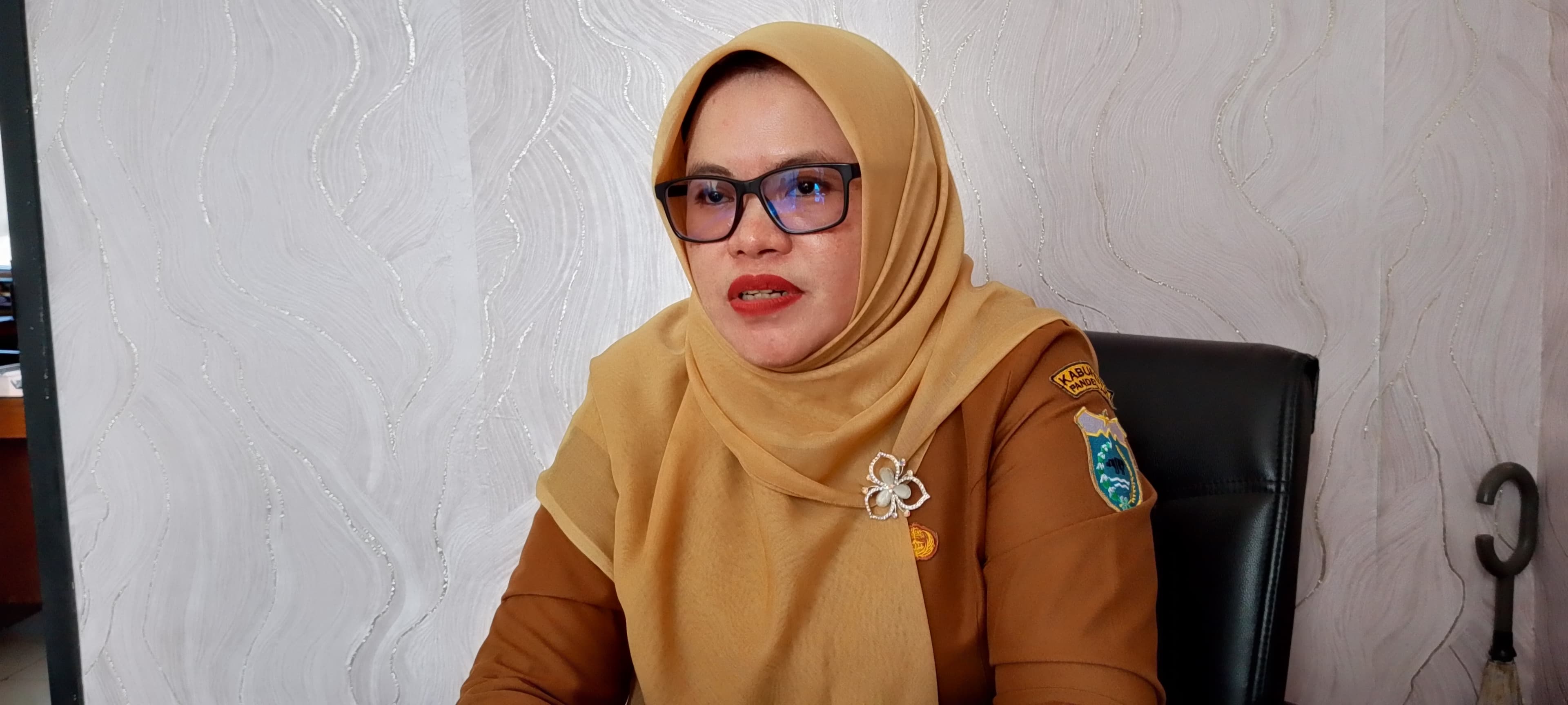 Penderita HIV AIDS Di Pandeglang Capai 345 Orang Kepala Bidang P2 Dinkes Pandeglang, Dian Handayani.