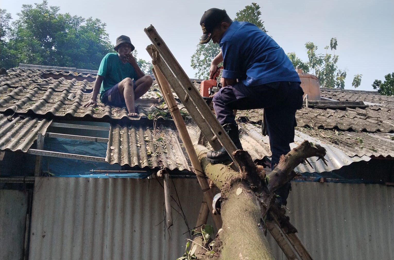 Pohon Tumbang Timpa Rumah Warga di Serpong, Damkar Lakukan Evakuasi Foto : Ist