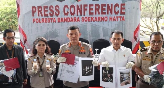 Polisi Gagalkan Upaya Penyelundupan Benih Lobster Rp9,2 M di Bandara Soetta Foto : Ist